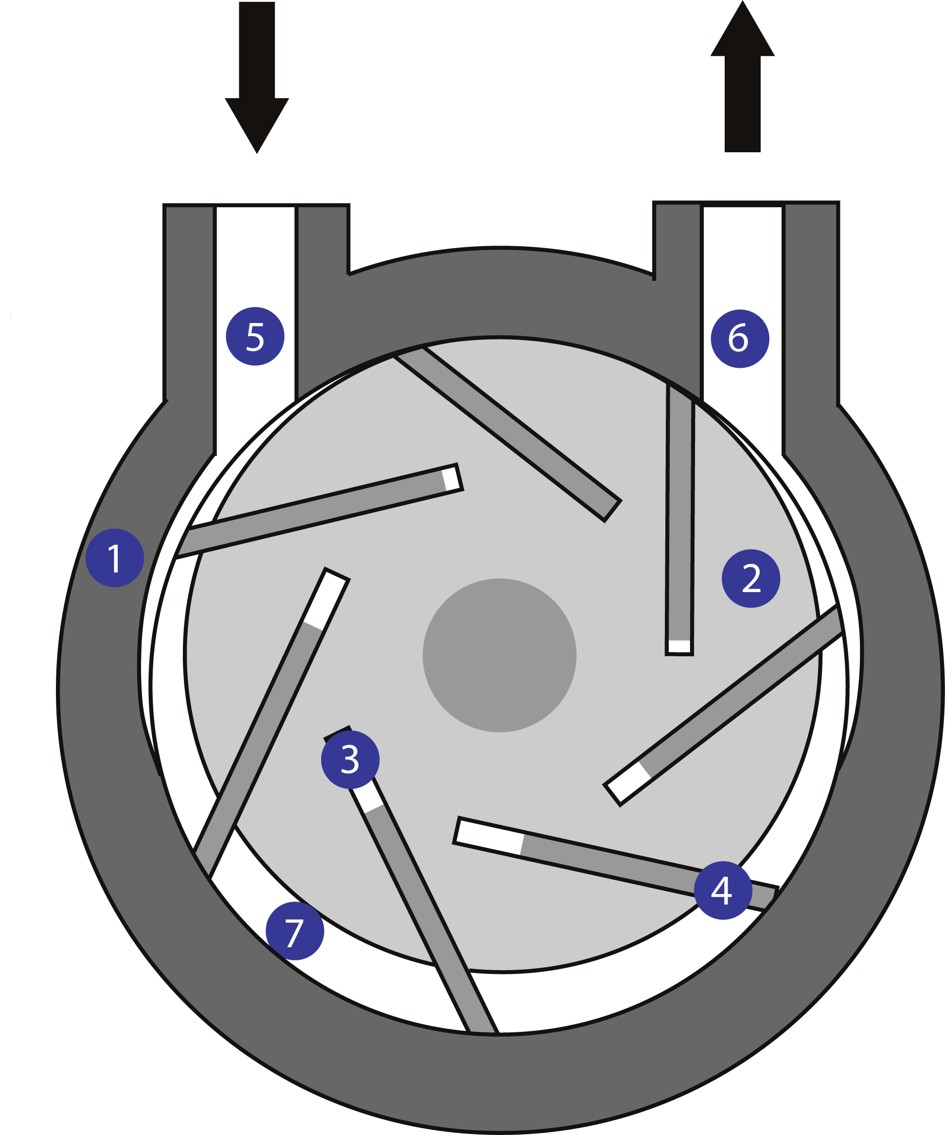 Understanding Your Vac: Rotary Vane Pump Diagram