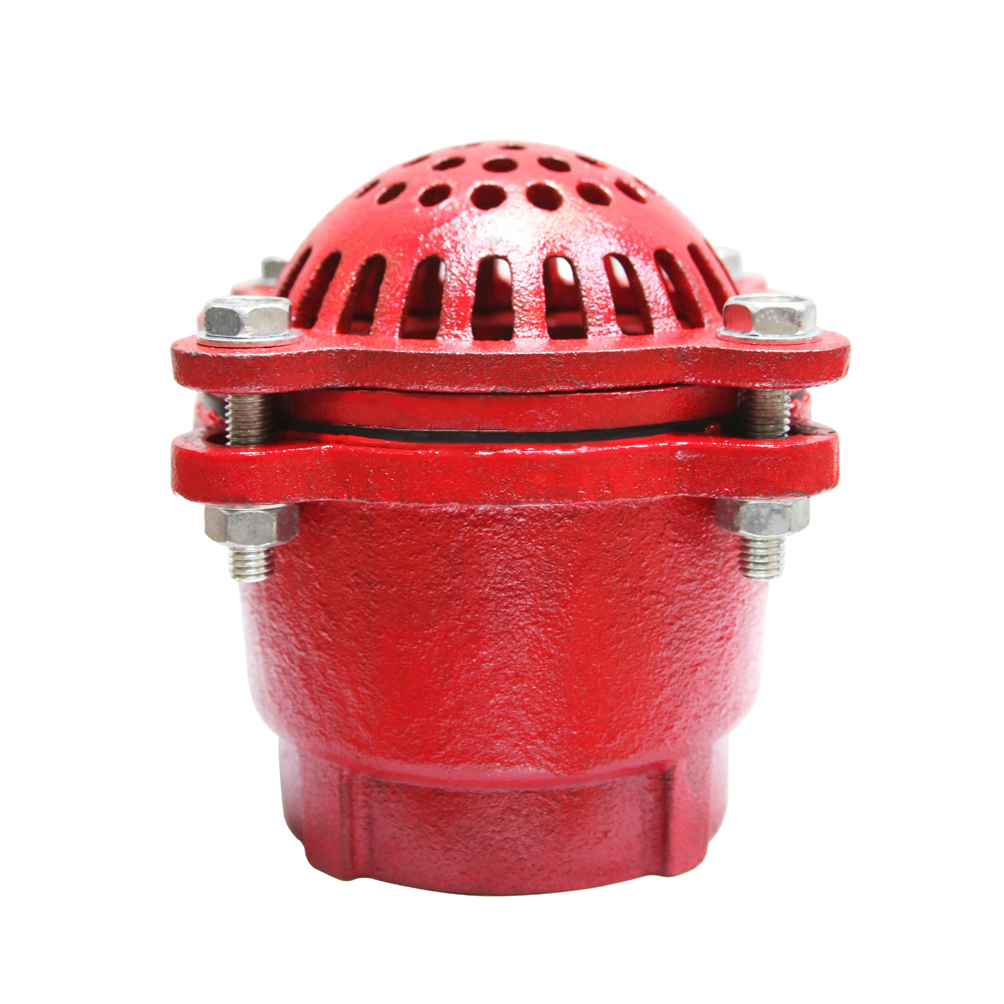 Válvula de pie de hierro fundido Gladiator