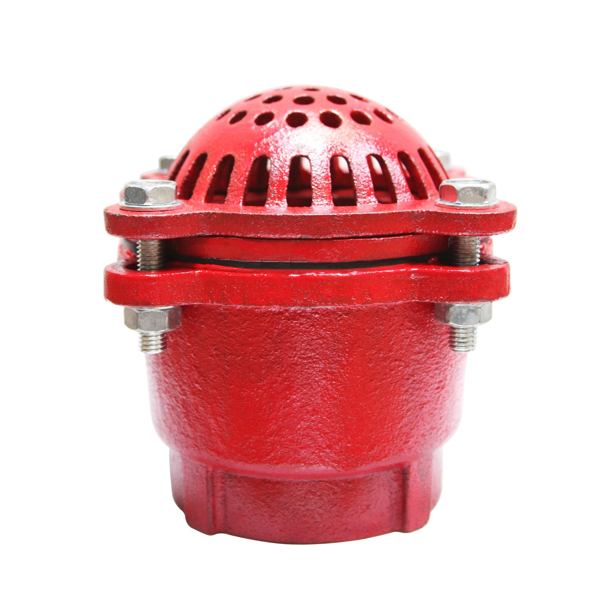 Gladiator Red Cast Iron Foot Valve with Female NPT threads